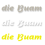 die Buam / Die Band